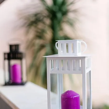 Bliss سينترا